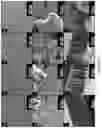Fig. 18 - Films derived from two or more chemically distinct block copolymers, methods of making same, and uses thereof