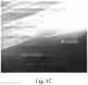 Fig. 09 - Urea-functionalized sol-gel