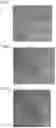 Fig. 02 - COMPOSITE BODY HAVING COATING LAYER OF CERAMIC CRYSTAL, AND METHOD FOR PRODUCING SAME