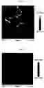 Fig. 03 - PBS composite material and method for producing same