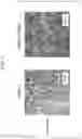 Fig. 05 - Rubber-containing graft polymer, resin composition containing rubber-containing graft polymer, and shaped article thereof