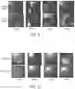 Fig. 10 - Sol-gel compositions with improved hardness and impact resistance