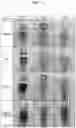 Fig. 02 - Irreversible thermochromic molded article for prevention of overheating and method for preparing same