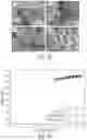 Fig. 11 - SUPERHYDROPHOBIC SURFACES USING NON-FLUORINATED COMPOSITIONS WITH PLANT-BASED MATERIALS