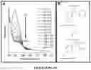 Fig. 10 - Curable polymeric coatings for functional surface preparations