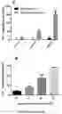 Fig. 11 - Curable polymeric coatings for functional surface preparations