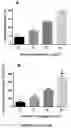 Fig. 16 - Curable polymeric coatings for functional surface preparations