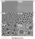 Fig. 24 - Curable polymeric coatings for functional surface preparations