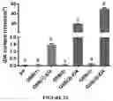 Fig. 25 - Curable polymeric coatings for functional surface preparations