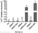 Fig. 27 - Curable polymeric coatings for functional surface preparations