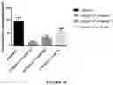Fig. 29 - Curable polymeric coatings for functional surface preparations