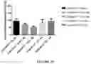 Fig. 30 - Curable polymeric coatings for functional surface preparations
