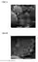 Fig. 02 - Self-cooling foam-containing composite materials