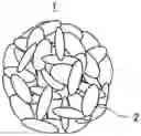 Fig. 01 - HEXAGONAL BORON NITRIDE POWDER AND METHOD FOR PRODUCING THE SAME, AND COMPOSITION AND HEAT DISSIPATION MATERIAL USING THE SAME