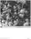 Fig. 07 - MICROPROPPANT