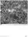 Fig. 08 - MICROPROPPANT