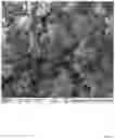 Fig. 09 - MICROPROPPANT