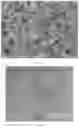 Fig. 04 - Perovskite quantum dot material