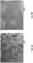 Fig. 06 - Cadmium free reverse type 1 nanostructures with improved blue light absorption for thin film applications
