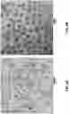Fig. 07 - Cadmium free reverse type 1 nanostructures with improved blue light absorption for thin film applications