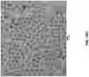 Fig. 16 - Cadmium free reverse type 1 nanostructures with improved blue light absorption for thin film applications