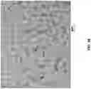 Fig. 18 - Cadmium free reverse type 1 nanostructures with improved blue light absorption for thin film applications