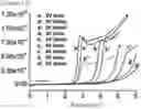 Fig. 01 - Etchant composition