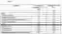 Fig. 07 - Fast dissolving solid detergent