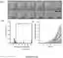 Fig. 13 - System and method for microfluidic cell culture