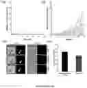 Fig. 14 - System and method for microfluidic cell culture