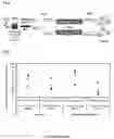 Fig. 15 - System and method for microfluidic cell culture