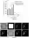 Fig. 24 - System and method for microfluidic cell culture