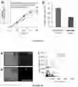 Fig. 27 - System and method for microfluidic cell culture