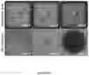 Fig. 28 - System and method for microfluidic cell culture