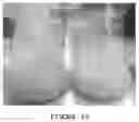 Fig. 08 - Microbial conversion of COand other C1 substrates to protein and meat substitute products
