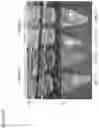 Fig. 04 - METHODS FOR VIRAL INACTIVATION AND OTHER ADVENTITIOUS AGENTS