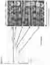 Fig. 08 - METHODS FOR VIRAL INACTIVATION AND OTHER ADVENTITIOUS AGENTS