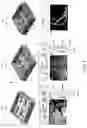Fig. 05 - Three-dimensional microtissues with integrated mechanical loading