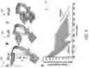 Fig. 11 - Three-dimensional microtissues with integrated mechanical loading