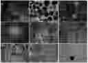 Fig. 01 - Method of obtaining pigmented cells in vitro by the differentiation of human induced pluripotent stem cells
