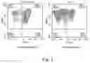 Fig. 02 - GENE EDITING T CELL AND USE THEREOF