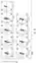 Fig. 09 - GENE EDITING T CELL AND USE THEREOF