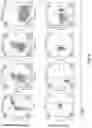 Fig. 15 - GENE EDITING T CELL AND USE THEREOF