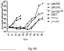 Fig. 19 - GENE EDITING T CELL AND USE THEREOF