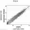Fig. 05 - Method for producing platelets