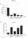 Fig. 23 - Method for producing platelets