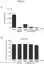 Fig. 24 - Method for producing platelets