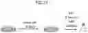 Fig. 28 - Method for producing platelets
