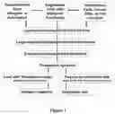 Fig. 02 - Platform for generating safe cell therapeutics