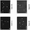 Fig. 03 - Platform for generating safe cell therapeutics